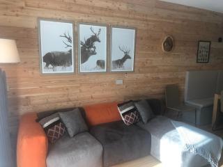 Chalet Bizet - Limone 1400 - Limone Piemonte - 5
