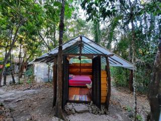Mariri Jungle Lodge - 1