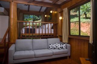 Milkwood Lodge - Cooktown - 9