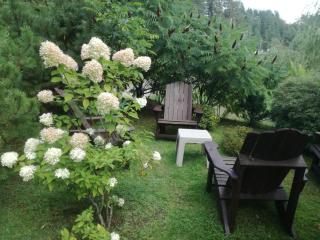Svečių namai ALDAIVITA - Ignalina - 1