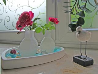 Möwennest am Ihlsee - 0