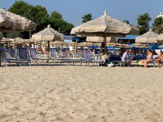 Hotel Nel Pineto - Montesilvano - 5