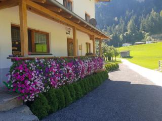 Ferienhof Bichlhof - Arzl im Pitztal - 9