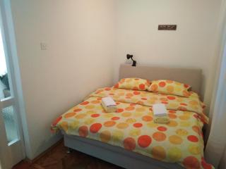 Planinska kuća Vladanka - planina Goč - banjska strana - preko puta ski staze - 6