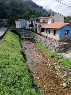 nueva el bosquin - Nueva de Llanes - 2