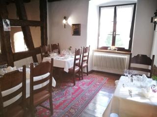 Hotel-Restaurant Bibermühle GmbH - Tengen - 2