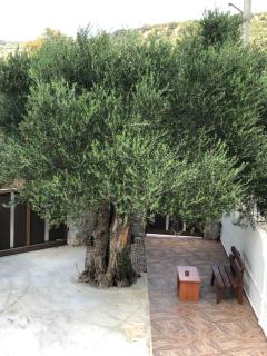 Creta Galini House - Sirílion - 3