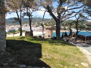 Sant Jordi Santiago - Tossa de Mar - 8