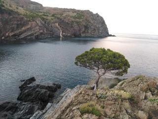 Sant Jordi Santiago - Tossa de Mar - 3