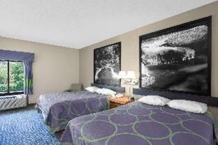 Super 8 by Wyndham Clemmons - Bermuda Run - Winston-Salem I-40 - Clemmons - 9