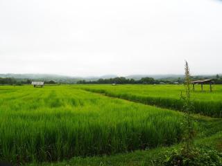 Doi Samoe Dao Hostel - Nan - 3