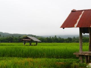 Doi Samoe Dao Hostel - Nan - 1