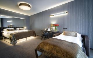 Hotel Mucha - Prague - 5