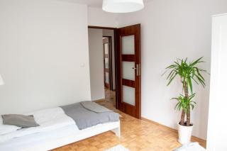 Nest Comfort Toruń - Toruń - 3