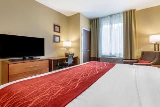 Comfort Inn & Suites Near Mt Rushmore - Hill City - 5