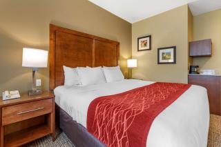Comfort Inn & Suites Near Mt Rushmore - Hill City - 4