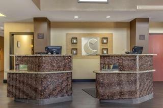 Comfort Suites Buda - Austin South - Buda - 8