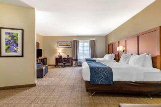Comfort Suites Buda - Austin South - Buda - 2