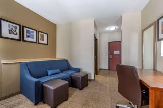 Comfort Suites Buda - Austin South - Buda - 4