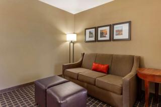 Comfort Suites Delavan - Lake Geneva Area - 2