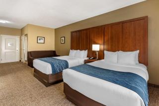 Comfort Inn & Suites El Dorado - El Dorado - 6