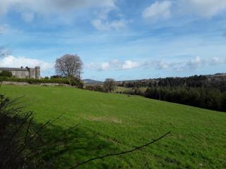 Meadowbrook Studio - 6