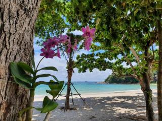 Blue Bay Bungalow - Ko Samed - 7