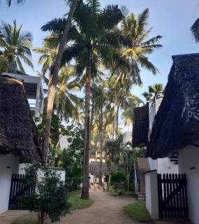Kusini Beach Cottages - Diani Beach - 7