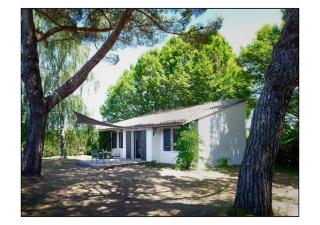 Domaine Cassevinha - Gauriac - 6