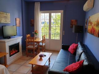 Apartamentos Dana Madrid - Madrid - 6