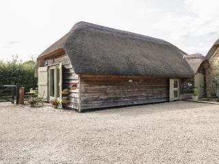 The Barn at Rapps Cottage - Ilminster - 6
