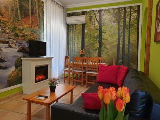 Apartamentos Dana Madrid - 0