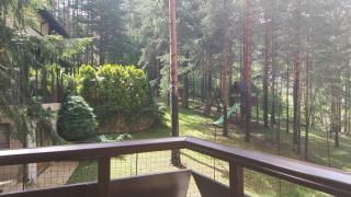 Vila Pekovic green-Apartman PAMA - Zlatibor - 8
