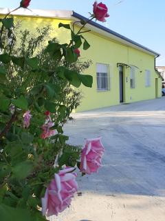 B&B La Casa di Paolo - Orsogna - 9