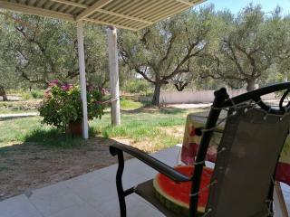 Agia Marina Studios, B - Zante - 5