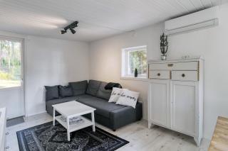 Lake cottage near Isaberg - 2