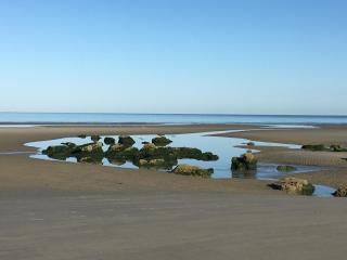 L Horizon vue mer - Wimereux - 9