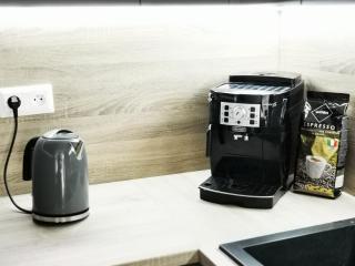 Apartmán Mlýnská Strouha - Plzeň - 2