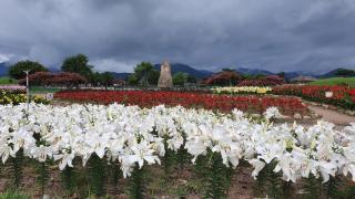 Dorandoran Guesthouse - Gyeongju - 3