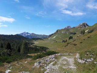 B&B DOLOMIA - Sagron Mis - 9