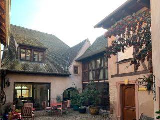 LA TOUR des fées-spa - Mittelbergheim - 9