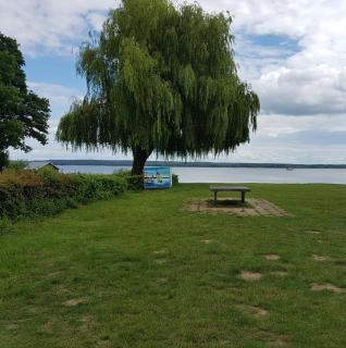 Ferienhaus Plau am See in Wassernähe - Plau am See - 8