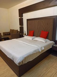 Hotel V.I.P. Regency - Dhanbād - 2