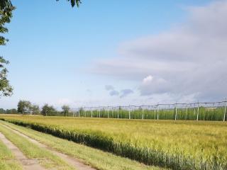 Altes Standesamt Weißensee - 3