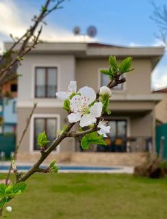 Guzel Evler Family Resort - Sapanca - 4