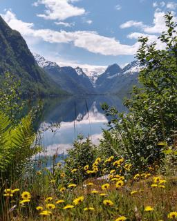 Oldevatn Camping - 7