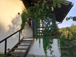 Country House Roman - 4