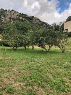 La Pommeraie - Casteil - 7