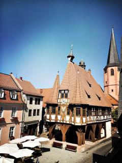 Schwarzer Adler - Michelstadt - 8