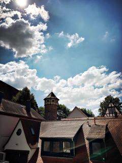 Schwarzer Adler - Michelstadt - 6